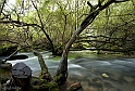 1) Acqua